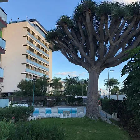 Apartamento Apartamento Ansite Planta Baja Playa Del Inlges Maspalomas (Gran Canaria)